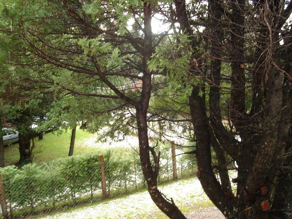 산카를로스데바릴로체 Tinsel'S House 빌라 외부 사진